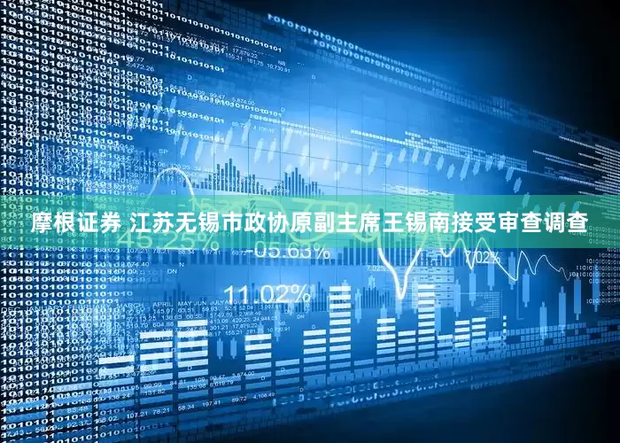 摩根证券 江苏无锡市政协原副主席王锡南接受审查调查